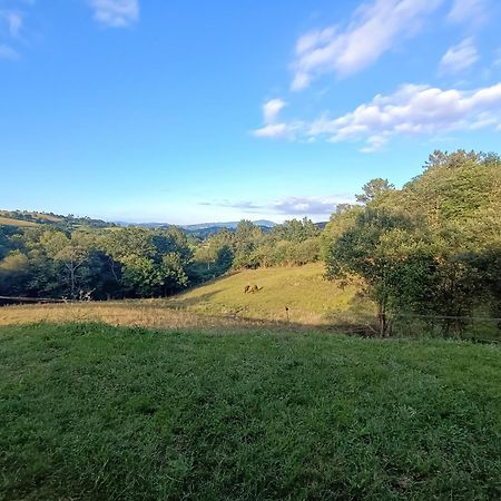 Casa Rural Tulia Grado Zewnętrze zdjęcie