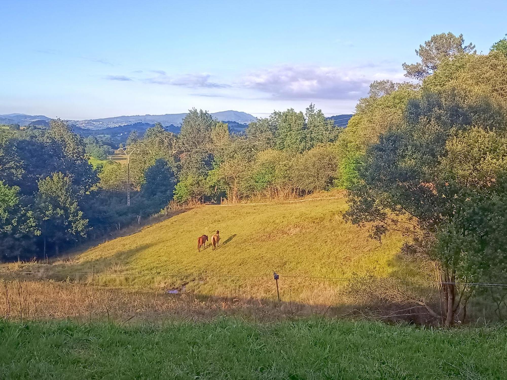 Casa Rural Tulia Grado Zewnętrze zdjęcie