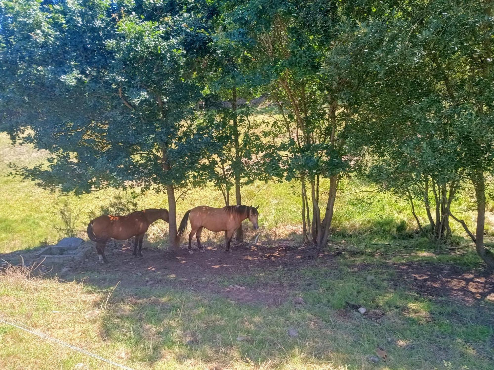 Casa Rural Tulia Grado Zewnętrze zdjęcie